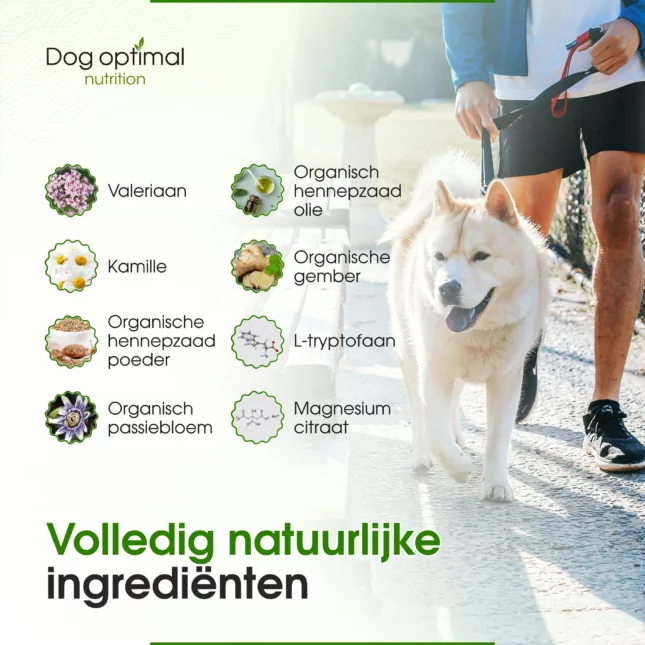 Dog Calming Melatonin Drops – 0.3mg Per Serving, For Loud Noises, Fireworks, Travel Stress
