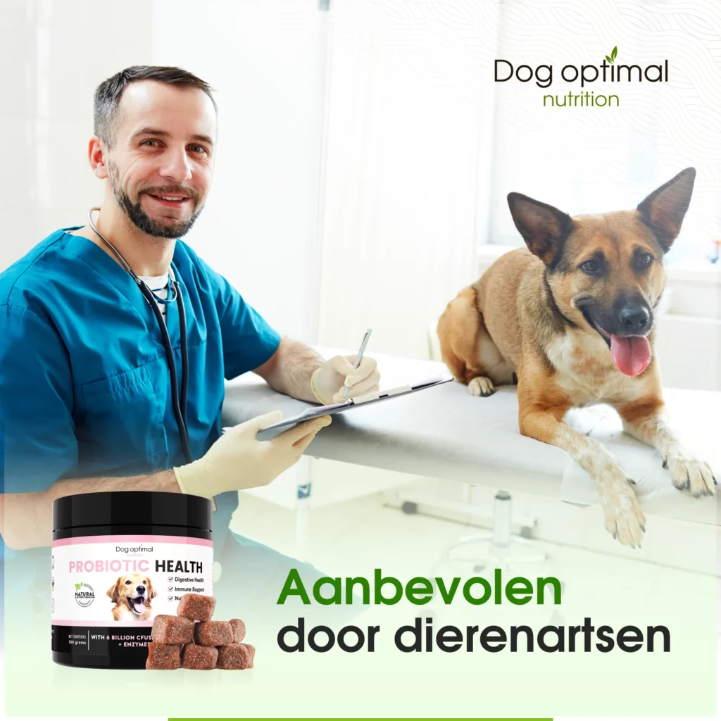 Diarree bij honden Oorzaak en behandeling Dog Optimal